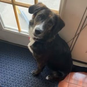 Meet your Posher, Quinn